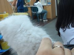-联合动物医院(光谷诊疗中心)