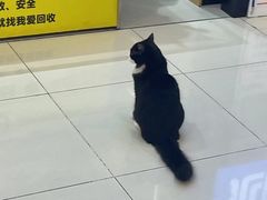-凯德广场(西城店)