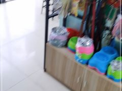 -圣宠动物医院·犬猫专科·影像中心·外科中心