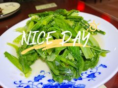 蒜茸油麦菜-范记靖远羊羔肉(博物馆店)