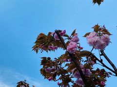 -X88商场(铜仁路店)