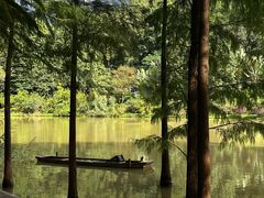 -深圳仙湖植物园
