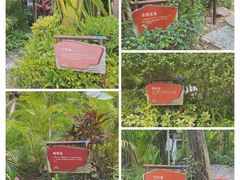 -碧桂园润杨溪谷温泉酒店