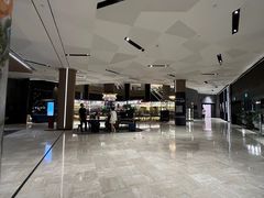 -新加坡瑞士史丹福酒店