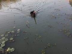 -江南大学(蠡湖校区)