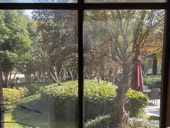 -荷风细雨·中国茶宴(碧云店)