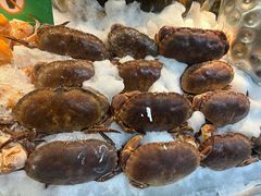 -亚马逊蒸汽活海鲜自助(LCM置汇旭辉广场店)