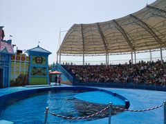 -华夏文旅海洋公园