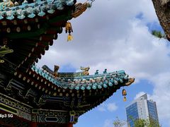 -迎泽公园