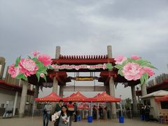 -曹州牡丹园