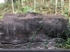 -大唐贡茶院
