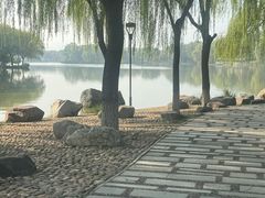 -石家庄市植物园