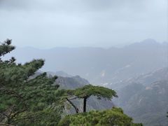 -黄山风景区