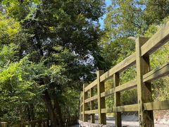 -广州市流溪河国家森林公园