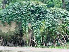 -白水寺森林公园