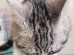 -美联众合动物医院·24h京西诊疗中心