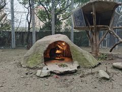 -上海野生动物园