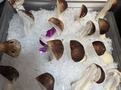 -南门四季铜锅涮肉(左家庄店)