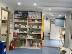 -博特宠物医院24h犬猫全科.骨科·异宠