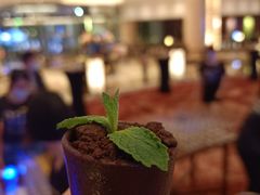 -深圳福田香格里拉大酒店