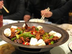 -食家鸽园