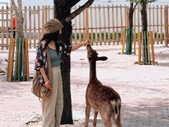 -水上乐园·欢乐世界