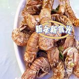 真的被舟山的海塘湾海鲜大排档惊艳到佳[加油]