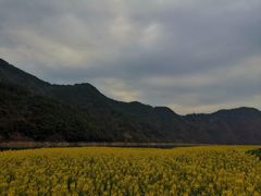 -新安江山水画廊风景区