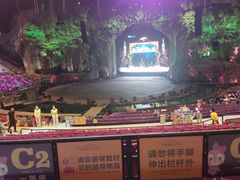 -广州长隆国际大马戏