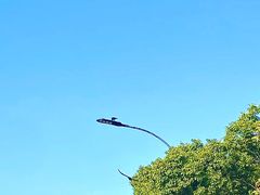 -虎跑公园