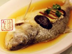清蒸鲥鱼-圆苑(上海广场店)