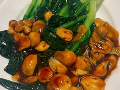 -新侨小馆(东直门北小街店)