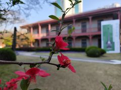 -上海交通大学董浩云航运博物馆