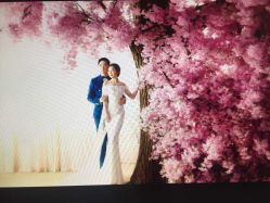 -米兰尊荣婚纱摄影·婚纱照会馆