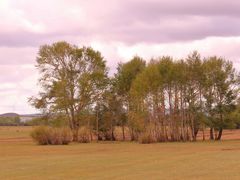 -塞罕坝国家级自然保护区