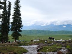 -新疆那拉提国家旅游度假区