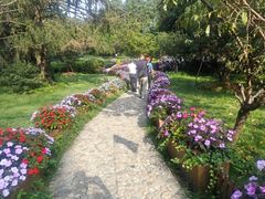 -庐山风景区花径公园