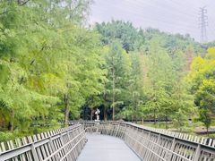 -福道