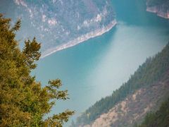 -万县面馆(高笋塘店)