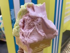 -柠檬车露(卖草地店)