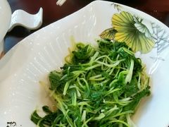 鸡毛菜-集贤门·徽菜(南山店)