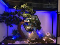 -绿茶餐厅(成都大悦城店)