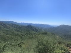 -大岭沟猕猴桃谷风景区