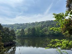 -庐山风景区花径公园