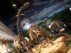 -自贡恐龙博物馆