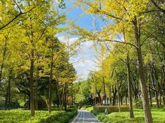 -杭州半山国家森林公园