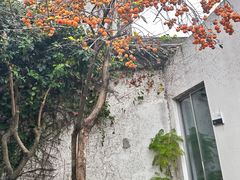 -吴作人艺术馆