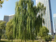 -西海子公园