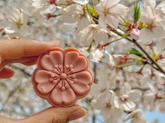 -珈境湖畔餐厅·湖北菜·江浙菜•樱花季(西北湖店)