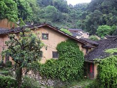 -杨家堂村